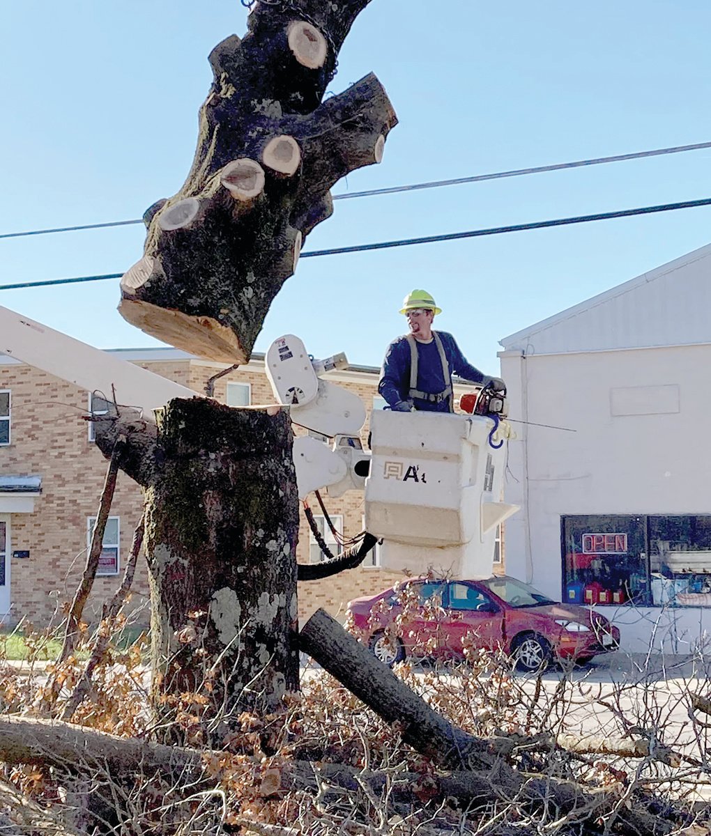 The old dead tree in front of St. George School in Linn was cut down by Matt Seifert and his crew at Three Rivers Electric Cooperative on Dec. 3.